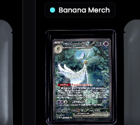 Collector Archive card list