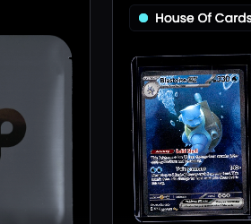 Whatnot Stream card list
